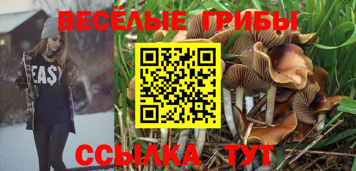 Топки  Галлюциногенные грибы Psilocybine cubensis  Вход с VPN 
