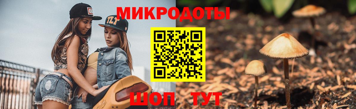 Галлюциногенные грибы Magic Shrooms Топки